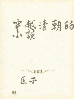 穿越清朝的军事小说