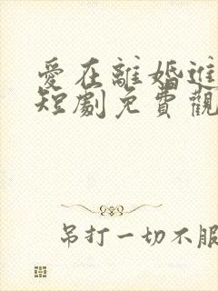 爱在离婚进行时短剧免费观看