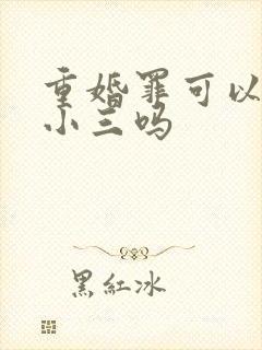 重婚罪可以只告小三吗