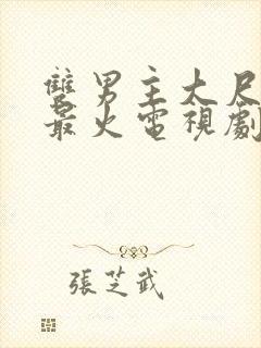 双男主大尺日剧最火电视剧