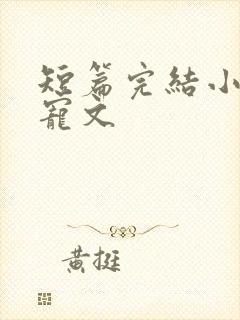 短篇完结小说甜宠文