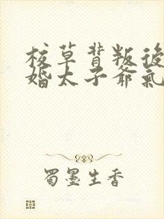 校草背叛后我闪婚太子爷气疯他苏念笙阅读