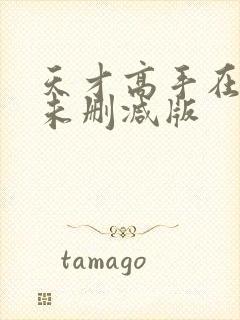 天才高手在都市未删减版