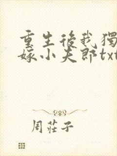 重生后我独宠替嫁小夫郎txt