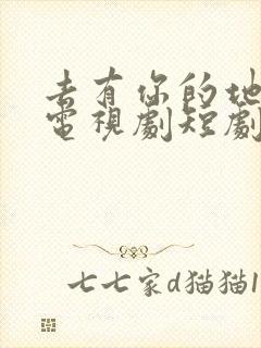 去有你的地方2电视剧短剧免费观看