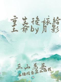 重生后嫁给病弱王爷by月影星