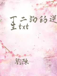 丁二狗的逆袭人生txt