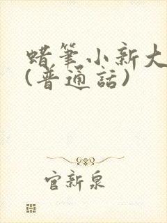 蜡笔小新大电影(普通话)