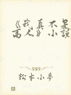 《我真不是隐世高人》小说