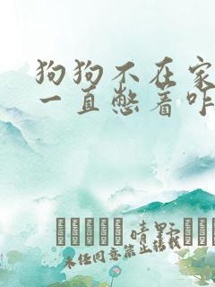 狗狗不在家拉尿一直憋着咋办