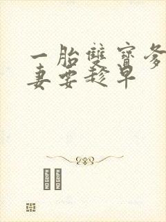 一胎双宝爹地宠妻要趁早