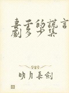 妻子的谎言电视剧多少集