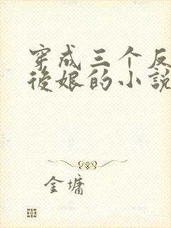 穿成三个反派的后娘的小说