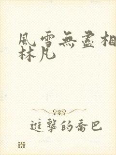 风雪无尽相思情林凡