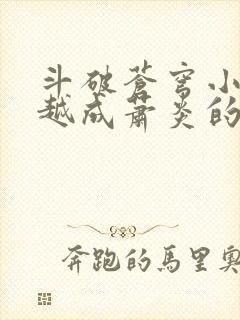 斗破苍穹小说穿越成萧炎的小说