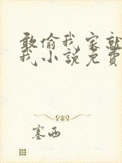 敢偷我家就别怪我小说免费阅读