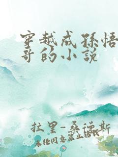 穿越成孙悟空大哥的小说