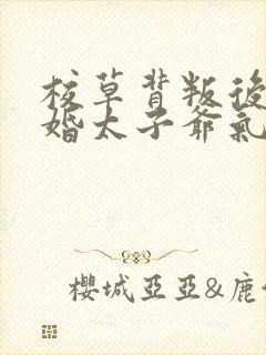 校草背叛后我闪婚太子爷气疯他苏念笙全集