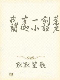 我有一剑叶观纳兰迦小说免费全集