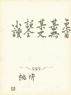 小说某某免费阅读全文无窗口