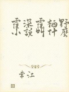 霍深霍栖野夏稚小说叫什么名字