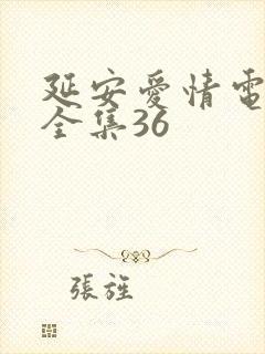 延安爱情电视剧全集36