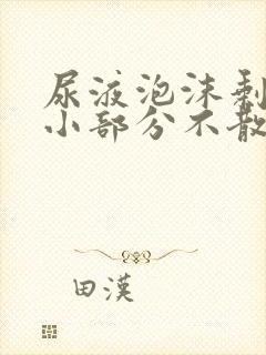 尿液泡沫剩下一小部分不散