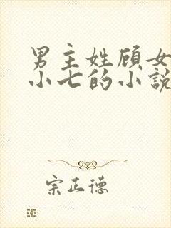 男主姓顾女主叫小七的小说