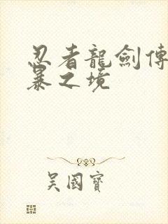 忍者龙剑传:狂暴之境