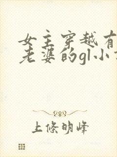 女主穿越有很多老婆的gl小说