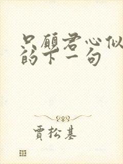 只愿君心似我心的下一句