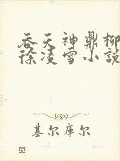 吞天神鼎柳无邪徐凌雪小说