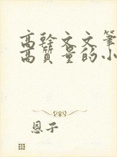 高干文文笔好的高质量的小说现代言情