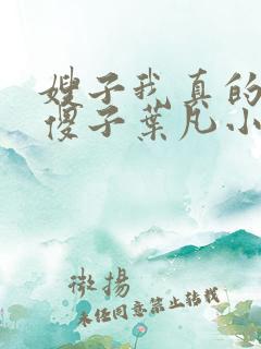 嫂子我真的不是傻子叶凡小说 原名