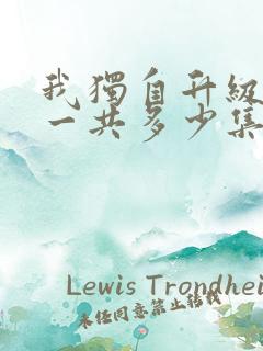 我独自升级动漫一共多少集