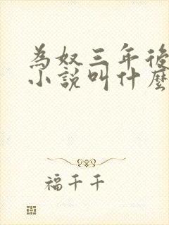 为奴三年后原著小说叫什么