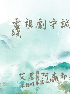 电视剧守诚者在线