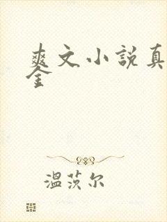 爽文小说真假千金