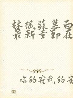 林枫苏慕白小说最新章节在线读疯狂