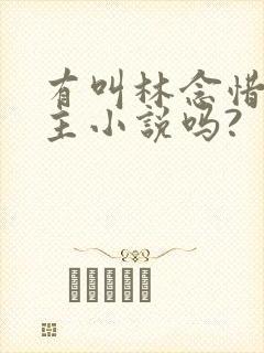 有叫林念惜的女主小说吗?