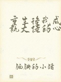 重生后我成了偏执大佬的心尖宠