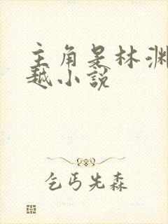 主角是林渊的穿越小说