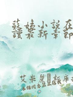 苏姨小说在线阅读最新章节