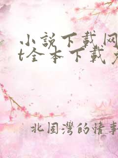 小说下载网txt全本下载免费