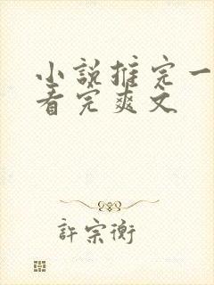 小说推完一口气看完爽文