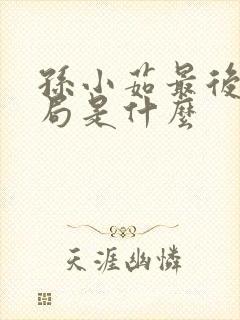 孙小茹最后的结局是什么