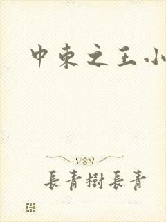 中东之王小说