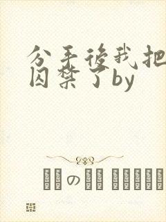 分手后我把渣攻囚禁了by