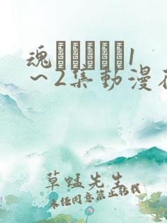 魂インサート1～2集动漫在线观看