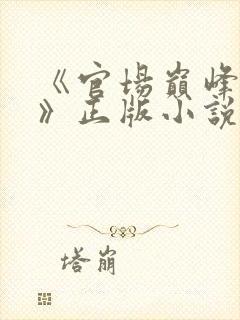 《官场巅峰李霖》正版小说